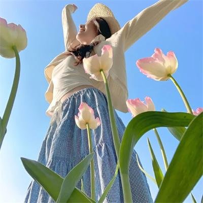 钢木兰